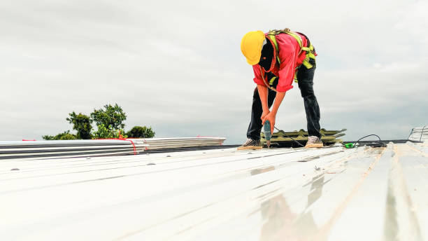 Professional Roofing Service in Beeville, TX